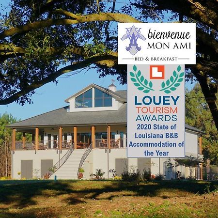 Bienvenue Mon Ami Bed And Breakfast Amite Exterior foto